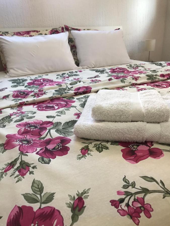 Apartman Studio Milojkovic 골루바츠 외부 사진