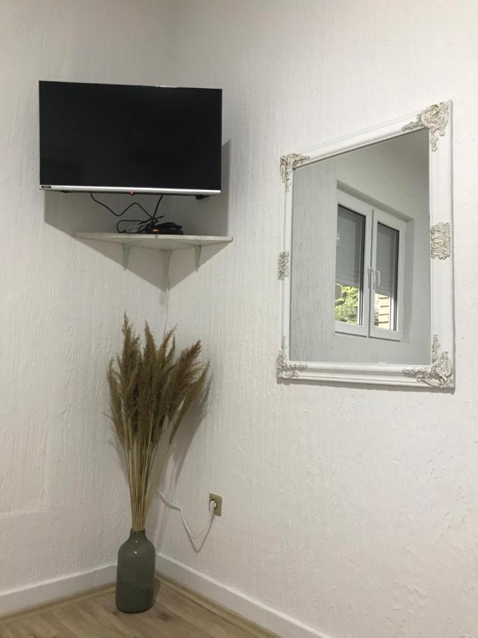 Apartman Studio Milojkovic 골루바츠 외부 사진