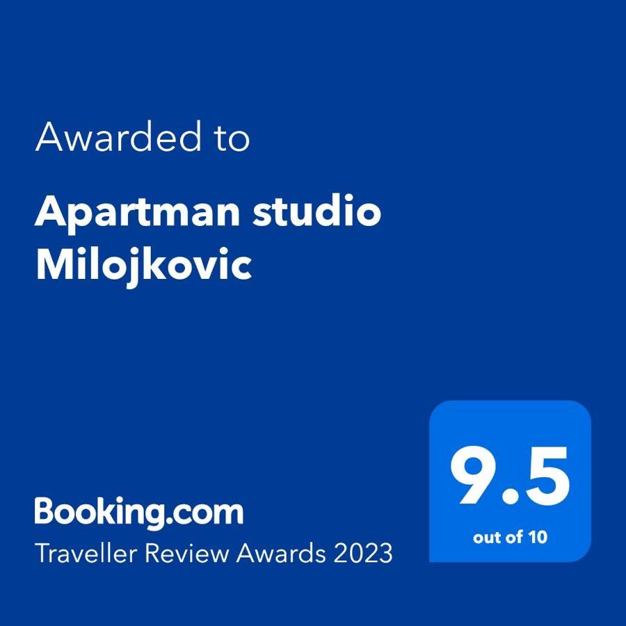 Apartman Studio Milojkovic 골루바츠 외부 사진